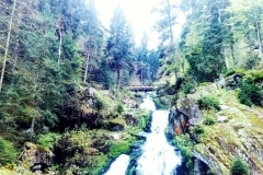 IMG_20170506_124856563